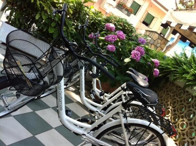 Grottamare Hotel Lido di Jesolo